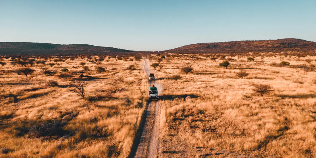 Relays, Fuses and Switches: Why Your 12V Setup Depends on Them