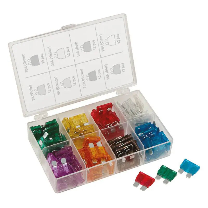 Roadpower RPCP4000 – Standard Blade Fuse Kit (80 Pieces, 3A–30A)
