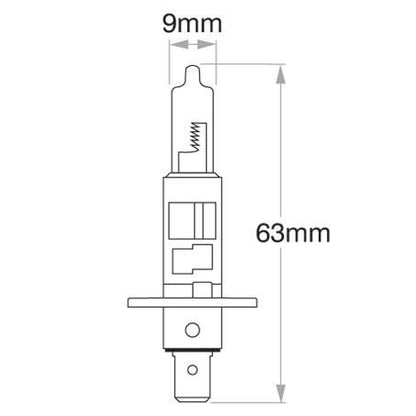 H1 Globe P14.5S 12V 100W