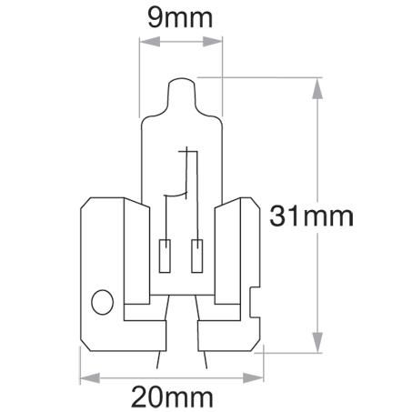 H2 X511 Globe 12V 55W