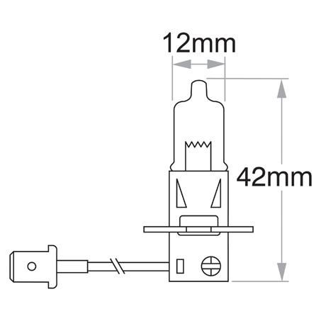 H3 Globe Pk22S 12V 55W