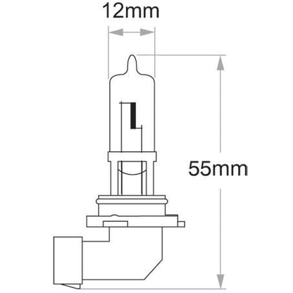 HB3 Globe P20D 12V 60W