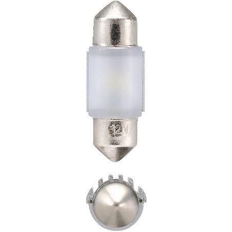 LED Festoon Globe 8.5 x 31mm