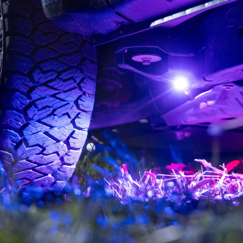 Close-up of a vehicle tire with a purple oricom rock light on a grassy area