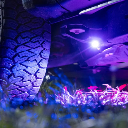 Close-up of a vehicle tire with a purple oricom rock light on a grassy area