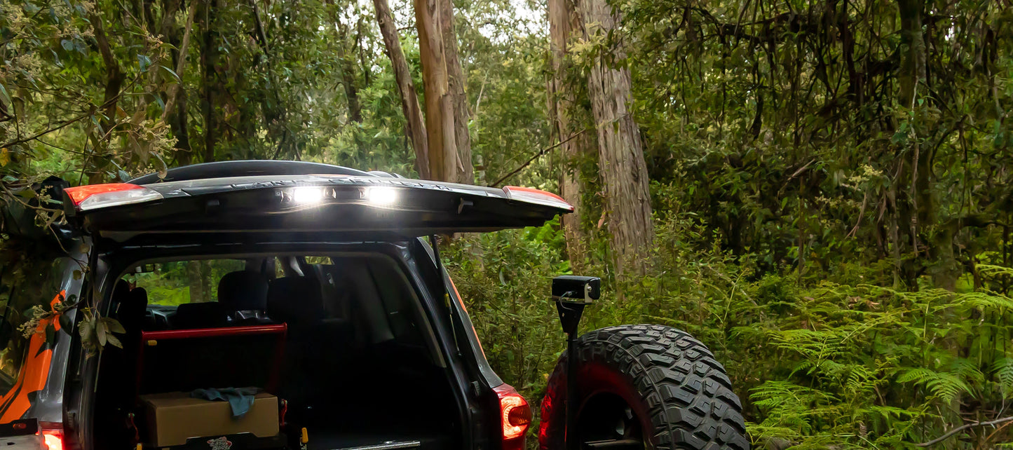 STEDI LED License Plate Light Assembly - Suits LandCruiser 100, 120 & 200 Series (LEDCONV-TOY-12SLCNS)