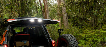 STEDI LED License Plate Light Assembly - Suits LandCruiser 100, 120 & 200 Series (LEDCONV-TOY-12SLCNS)