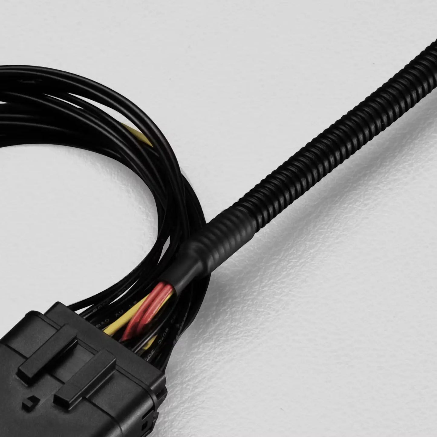 STEDI Piggyback Adapter - Suits Next Gen Ford Ranger, Raptor & Everest (2022+)